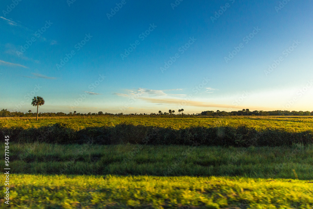 South Florida Ranchland in evening