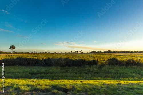 South Florida Ranchland in evening