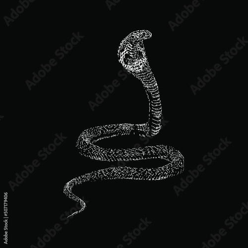Indian Cobra hand drawing vector illustration isolated on black background