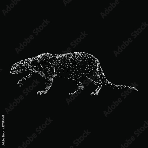 Jaguarundi Cat hand drawing vector illustration isolated on black background