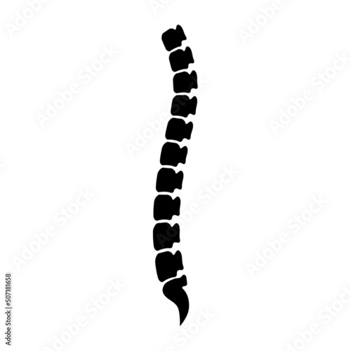 spine icon design template vector illustration