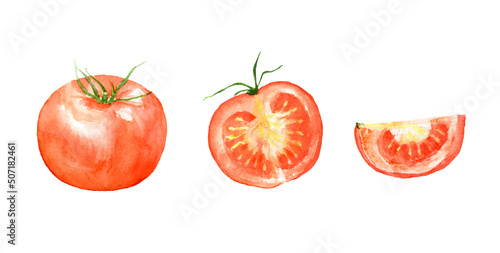 Watercolor illustration of tomato set