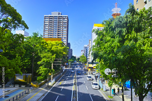 快晴の新緑の横浜、関内駅から海側方面の大桟橋通りと都市風景 