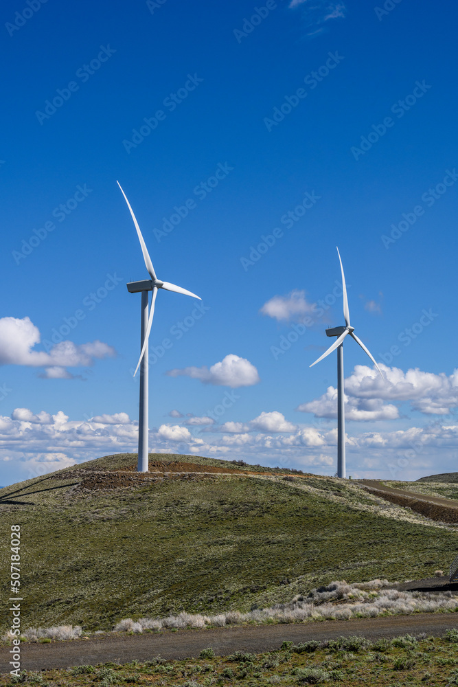Wind turbines in the shrub-steppe habitat of Central Washington, utility scale, renewable green power generation
Wind turbines in the shrub-steppe habitat of Central Washington, utility scale, renewable green power generation
