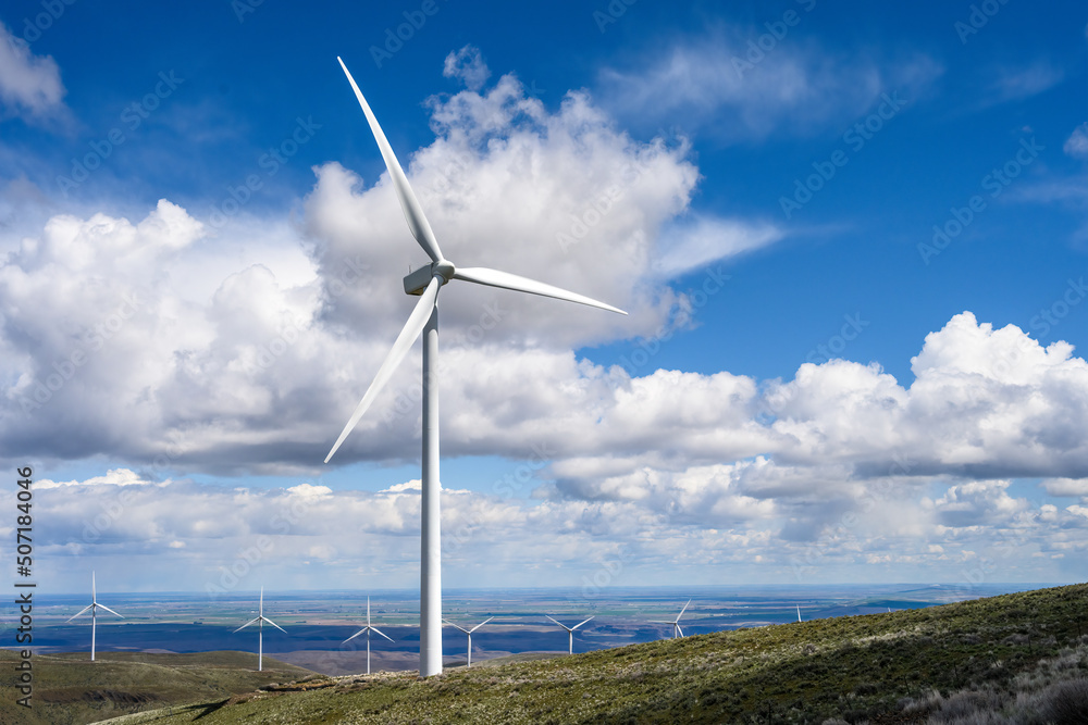 Wind turbines in the shrub-steppe habitat of Central Washington, utility scale, renewable green power generation
Wind turbines in the shrub-steppe habitat of Central Washington, utility scale, renewable green power generation