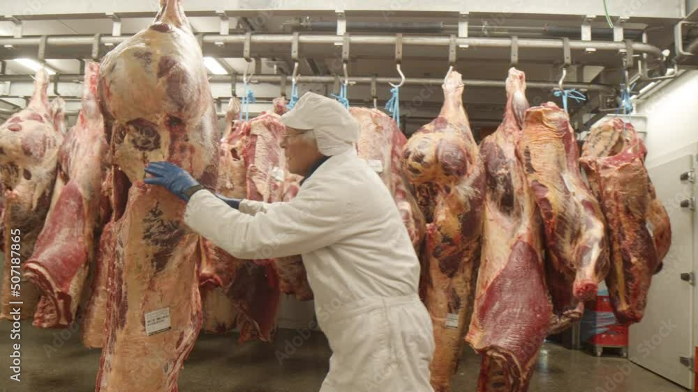 Man moving cow carcass hanging on meat hook in large meat processing plant