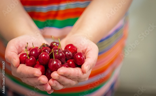 Cherry in hands. Organic fruit. Farmers hands with freshly harvested fruit. Fresh organic cherries