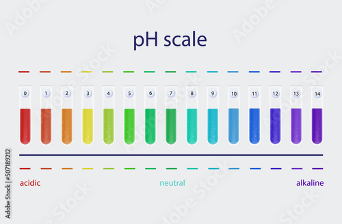 Ph scale. Balance liquid level, litmus color change. Indicator of indications, measurements and table of results. Chart of values ​​and balance level of ph alkaline and acidic. Vector illustration
