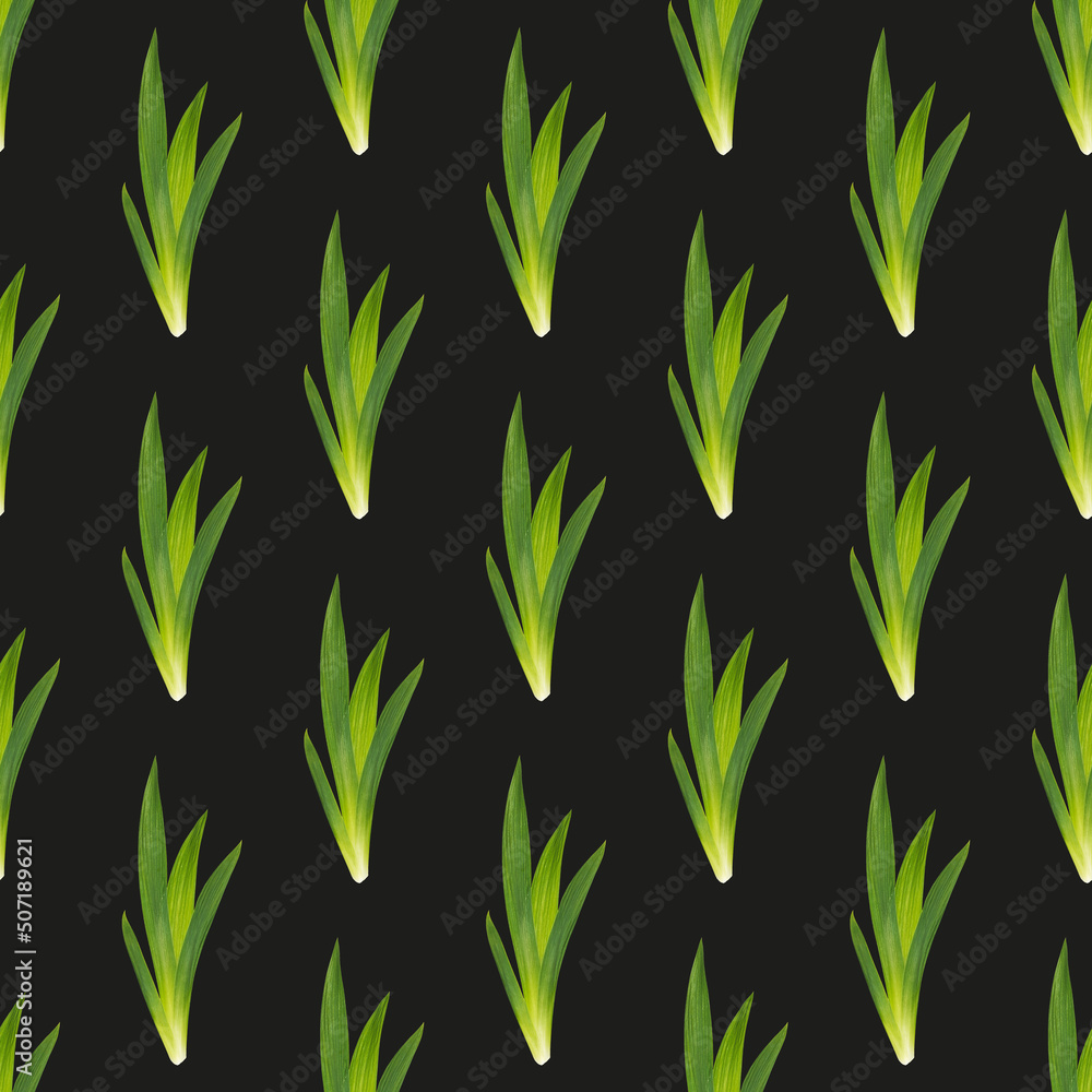Seamless pattern of green grass on a black background. Seamless pattern of green grass on a black background.