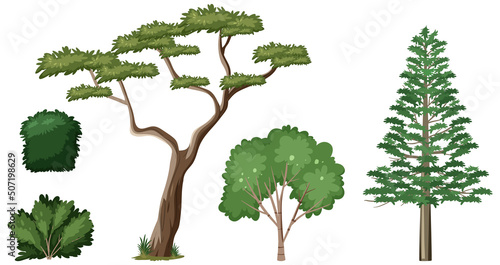 Set of nature forest elements