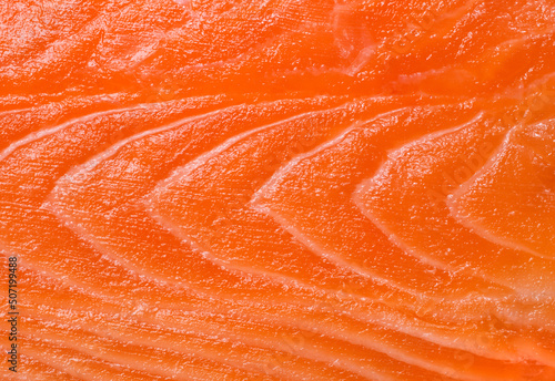Salmon texture closeup background.