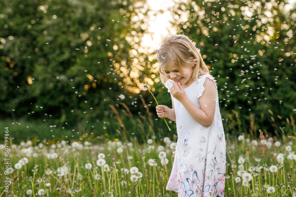 Adorable cute little preschool girl blowing on a dandelion flower on the nature in the summer. Happy healthy beautiful toddler child with blowball, having fun. Bright sunset light, active kid. Adorable cute little preschool girl blowing on a dandelion flower on the nature in the summer. Happy healthy beautiful toddler child with blowball, having fun. Bright sunset light, active kid.