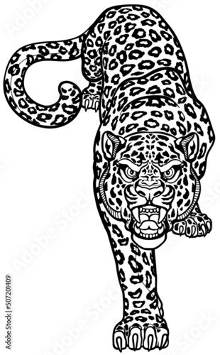 Leopard crawl stalking. Crawling spotted panther. Creeping big cat. Front view isolated vector illustration