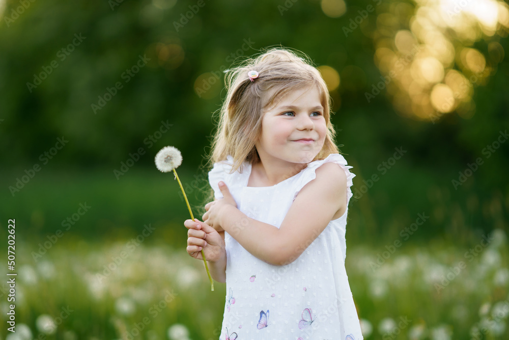 Adorable cute little preschool girl blowing on a dandelion flower on the nature in the summer. Happy healthy beautiful toddler child with blowball, having fun. Bright sunset light, active kid. Adorable cute little preschool girl blowing on a dandelion flower on the nature in the summer. Happy healthy beautiful toddler child with blowball, having fun. Bright sunset light, active kid.