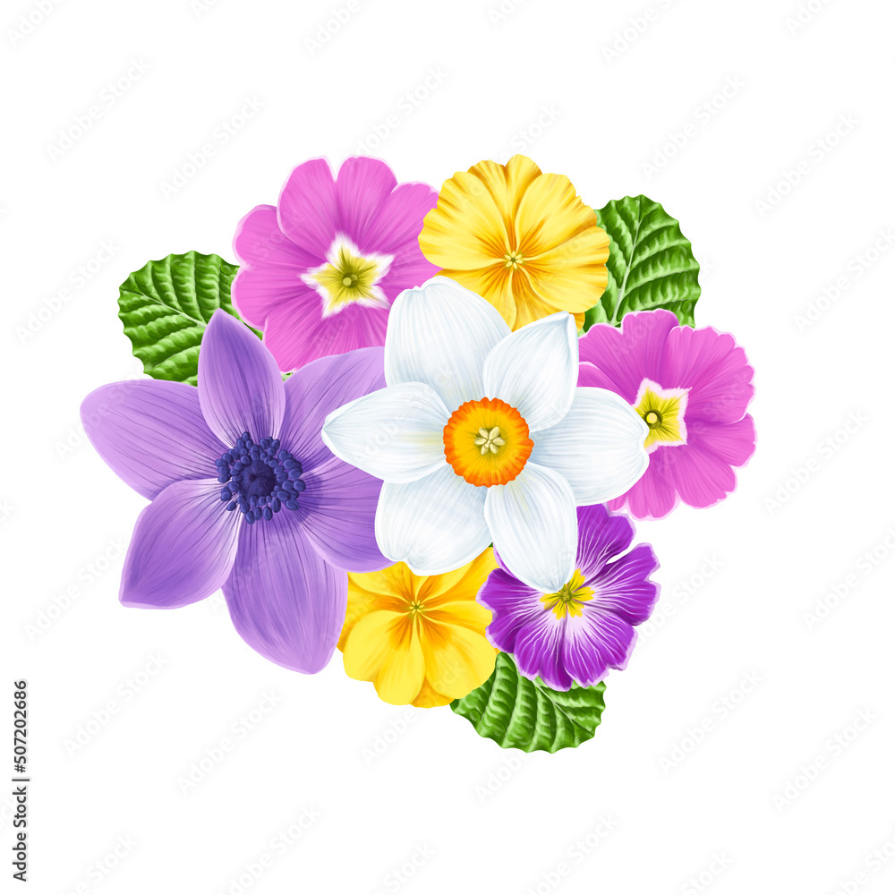 drawing spring flowers of primrose, anemone and narcissus and green leaves isolated at white background , hand drawn botanical illustration drawing spring flowers of primrose, anemone and narcissus and green leaves isolated at white background , hand drawn botanical illustration