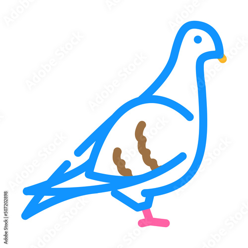 pigeon bird color icon vector. pigeon bird sign. isolated symbol illustration