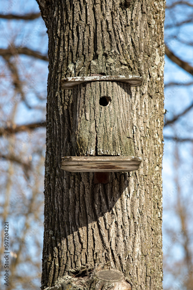 birdhouse made of wood hanging on a tree birdhouse made of wood hanging on a tree