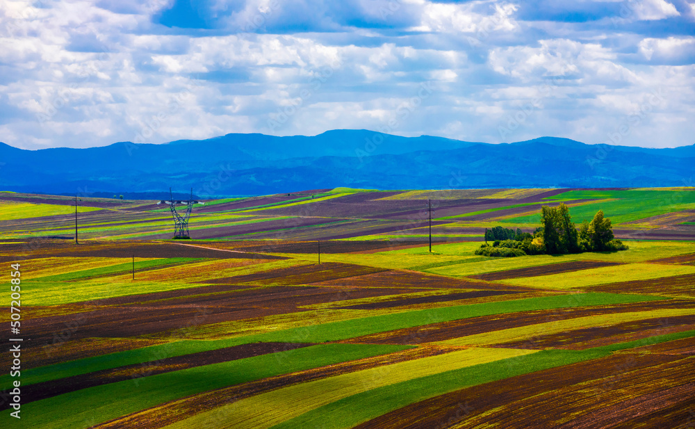 Obraz premium Landscape with many agricultural lands cultivated in the field