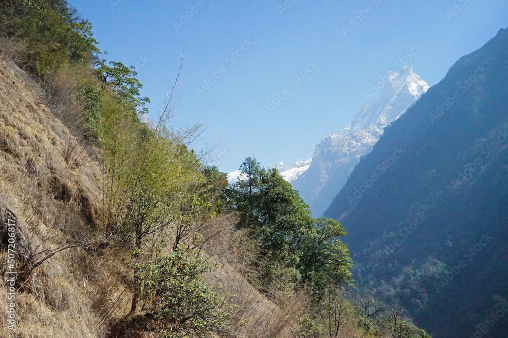 Natural landscape of Snowcapped mountain view with clear blue sky- Annapurna Himalayan range, Nepal