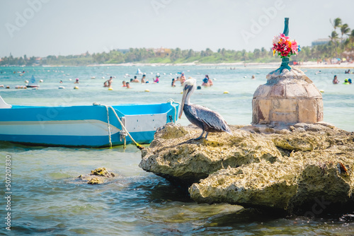 Pelican sitting on a stone. View of old boats in the ocean in Playa Akumal, Mexico Yucatan