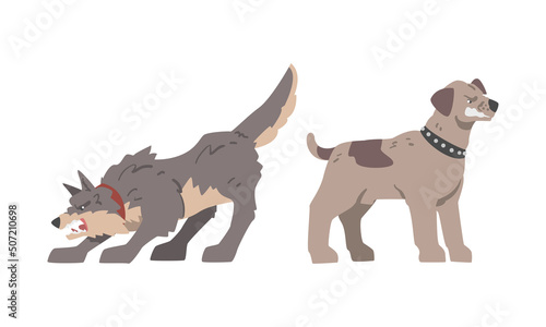 Aggressive Large Dog in Collar Baring Its Teeth in Angry Grin Vector Set