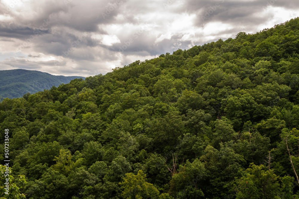 Clouds and Trees at Great Smoky Mountains National Park, Tennessee