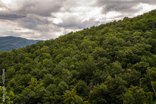 Clouds and Trees at Great Smoky Mountains National Park, Tennessee © squeemu