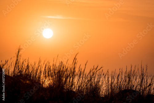 Morning sunrise at the Bay and Coast at Cape Greco National Park near Ayia Napa  Cyprus. The sun through the silhouettes of flowers and grass