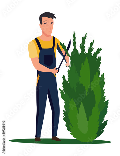 Professional gardener pruning tree with pruners or garden shears. Man working with shrubs in backyard. Colored flat vector illustration of worker in uniform isolated on white background