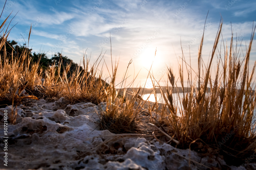 Fototapeta premium Morning sunrise at the Bay and Coast at Cape Greco National Park near Ayia Napa, Cyprus. Summer landscape in Cyprus. Flowers and grass in the morning sun