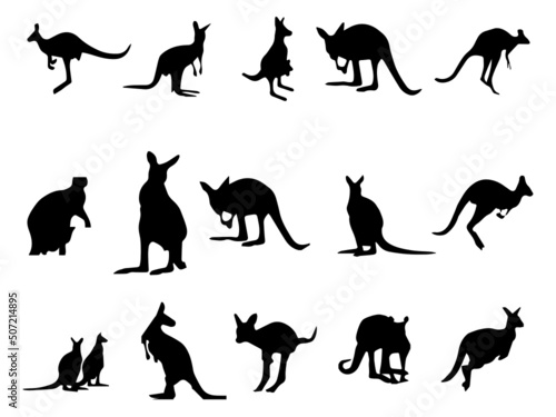 Black kangaroo Royalty Free Vector Image. Kangaroo Black kangaroo Vector Image. Kangaroo Vector Art and Graphics