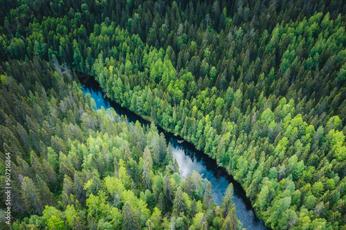 Aerial view of the forest and the river in which the sky is reflected. Summer landscape in the forests of Karelia