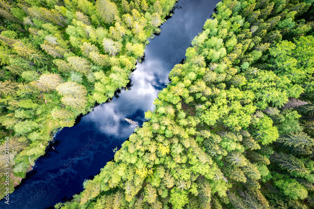 Naklejka premium Aerial view of the forest and the river in which the sky is reflected. Summer landscape in the forests of Karelia