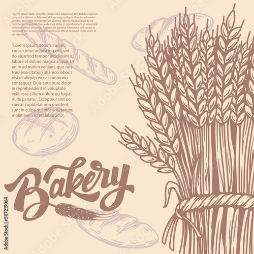 Bakery card with sheaf of wheat illustration. Design element for emblem, sign, poster, package design. Vector illustration