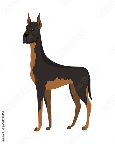 Dog breed. Cartoon domestic pet character flat illustration. Human friend home animal