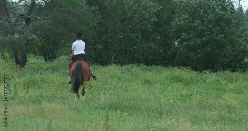 Woman rider on horseback riding in a clearing near the forest, horse walking along a forest path, horsewoman ride on a horse, 4k slow motion.
