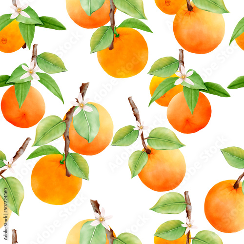 hand drawn orange fruit seamless pattern