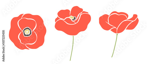 Hand-drawn red Flanders Poppy flowers