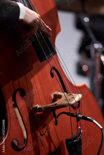 double bass close-up, double bass details. musician plays double bass on stage, close-up