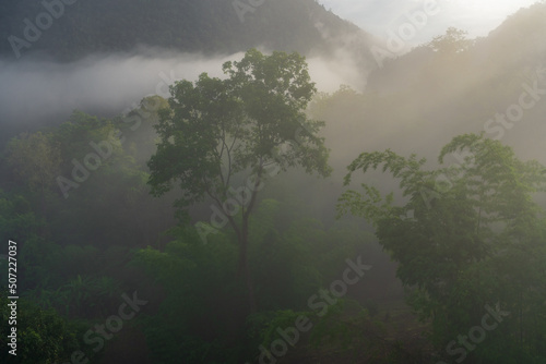 Scenic mountain landscape with tropical forest in morning mist during monsoon season in rural valley , Chiang Dao, Chiang Mai, Thailand