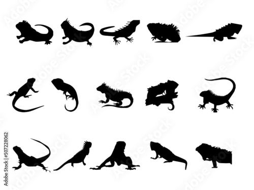 Beautiful iguana Vector Image. Iguana Vector Art. Iguana Vector. Iguana Images. Iguana Silhouette Free Vector