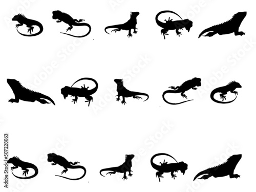 Iguana black sign stock vector. Iguana Vector Image. Vector iguana royalty-free images. Iguana Images. Iguana Vector
