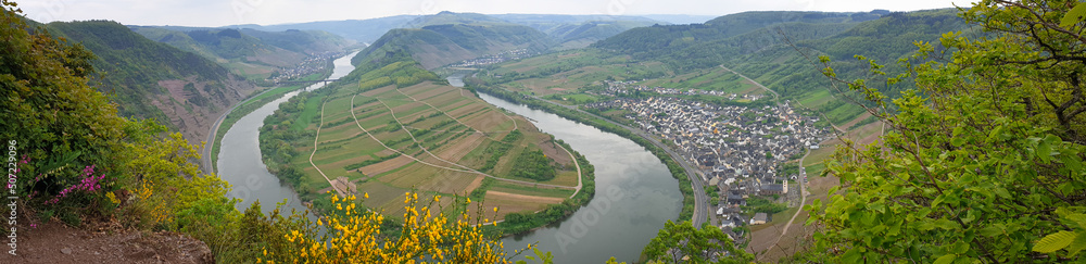 Panorama of a bend in the Moselle River near the village of Bremm in western part of Germany
