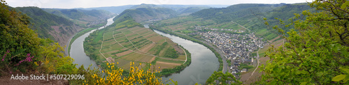 Panorama of a bend in the Moselle River near the village of Bremm in western part of Germany © Menyhert