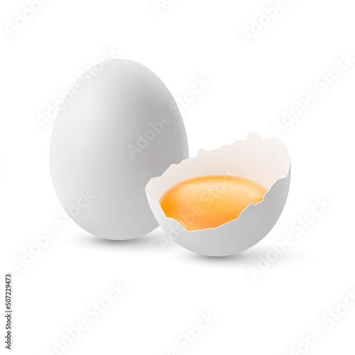 Fresh Organic Chicken Eggs on White Background. Broken and Whole White Chicken Eggs