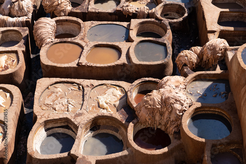 Chouara Tannery in Fez, Morocco photo