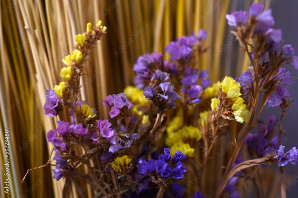 Fototapeta premium Yellow and blue dried flowers and straw. Herbarium.