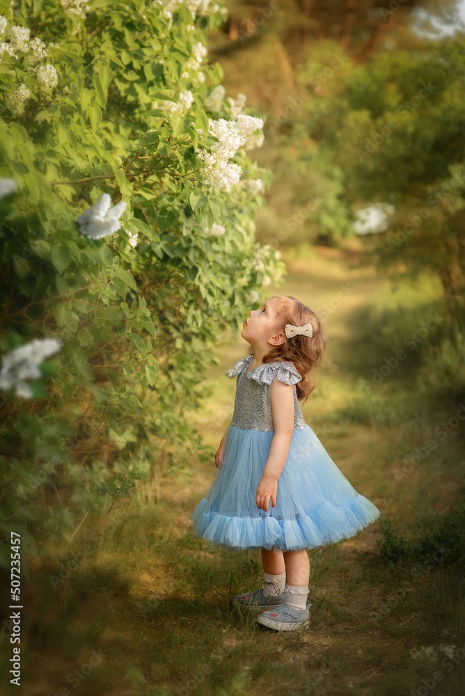 a child in a blue dress plays in the park. plays in the forest. girl with a basket collects flowers. a child in a blue dress plays in the park. plays in the forest. girl with a basket collects flowers.