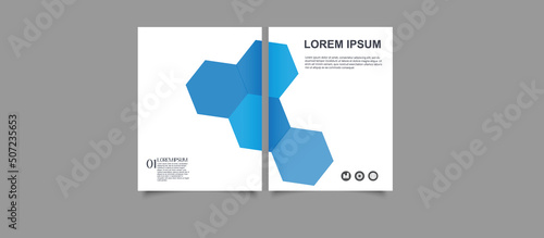 Blue abstract hexagon Brochure annual report design template vector. Business Flyers infographic magazine poster.Abstract layout template ,Book Cover presentation portfolio