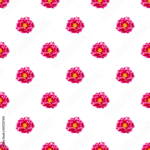 Seamless floral pattern with pink peony bud on white background.